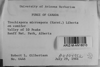 Trechispora microspora image