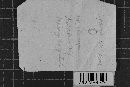 Hyphodontia juniperi image