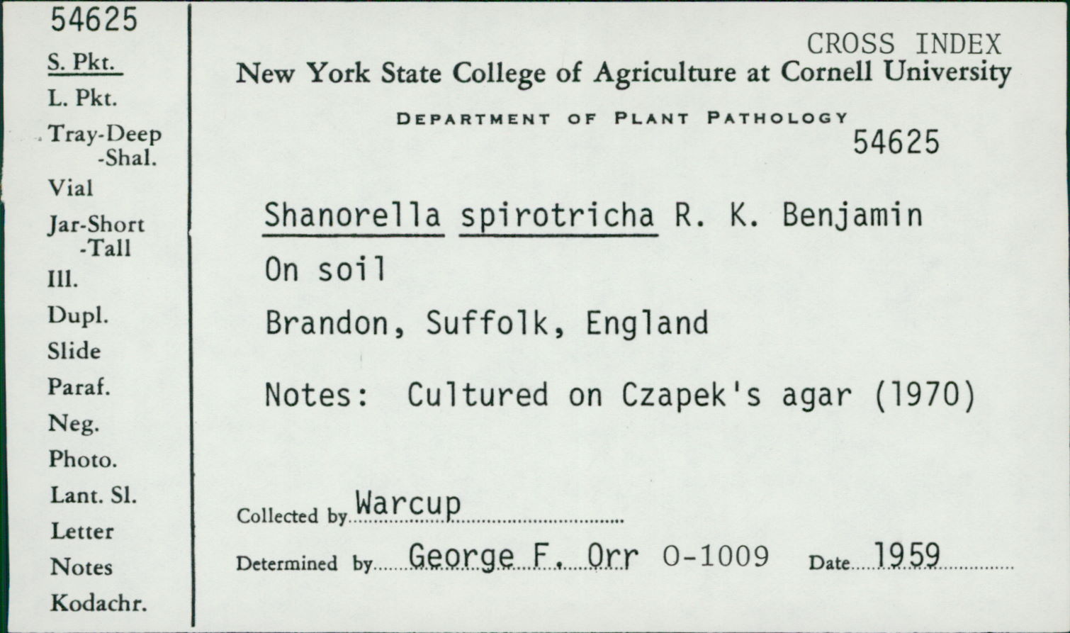 Shanorella spirotricha image