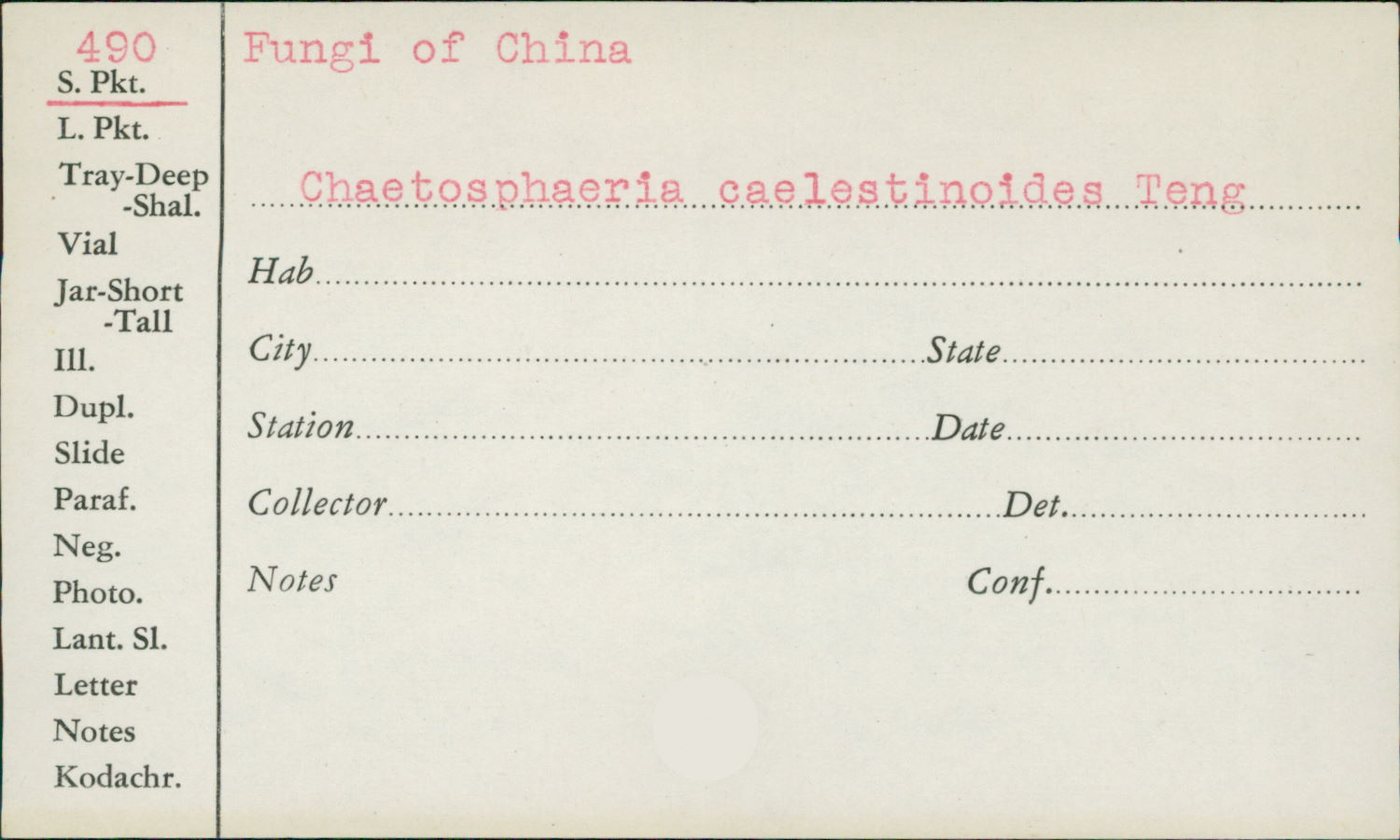 Chaetosphaeria caelestinoides image