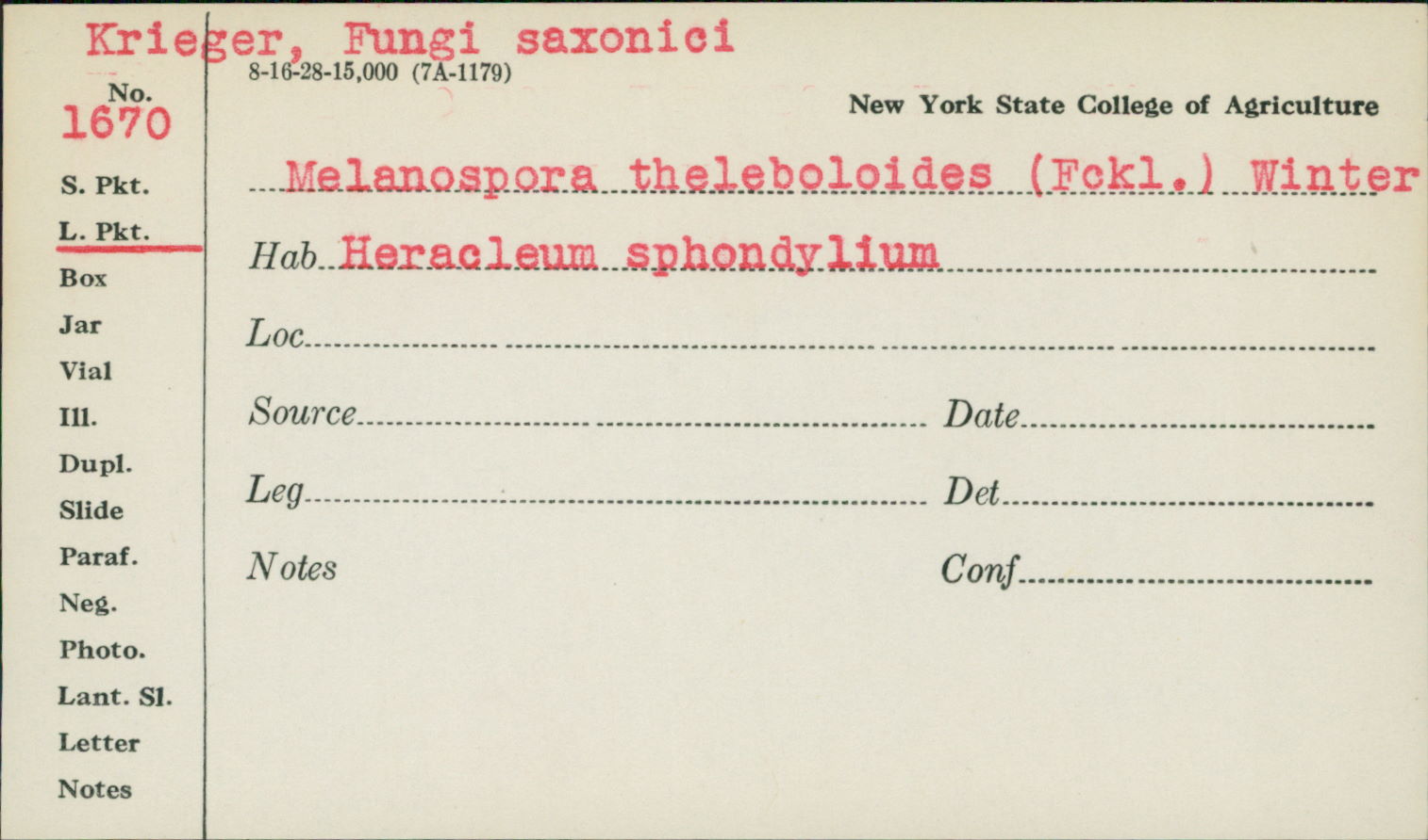 Pustulipora corticola image