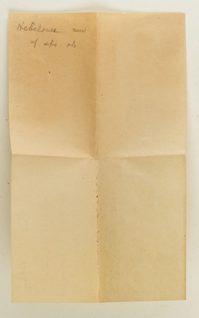 Cortinarius verruculosus image