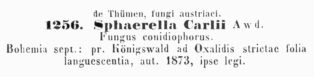 Sphaerella carlii image