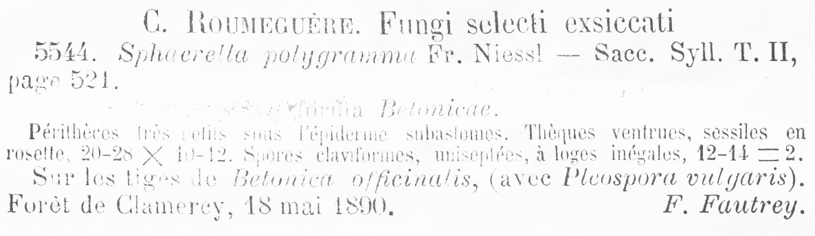 Sphaerella polygramma f. betonicae image