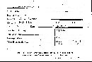Inonotus tamaricis image