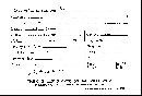 Lycoperdon acuminatum image
