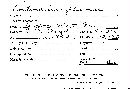 Cortinarius pluvius image