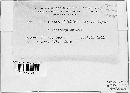 Physoderma alfalfae image