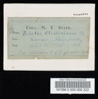 Boletus clintonianus image