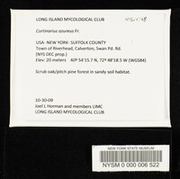 Cortinarius anomalus image