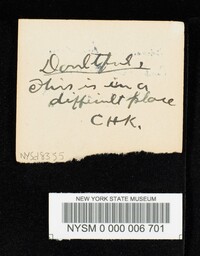 Cortinarius mucosus image