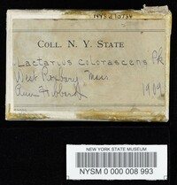 Lactarius colorascens image