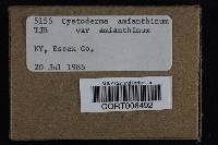 Cystoderma amianthinum image