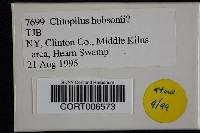 Clitopilus hobsonii image
