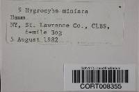 Hygrocybe miniata image
