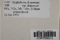 Hypholoma dispersum image