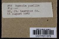 Image of Russula pusilla