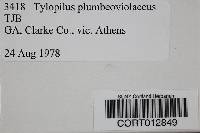 Tylopilus plumbeoviolaceus image