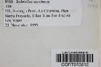 Boletellus coccineus image