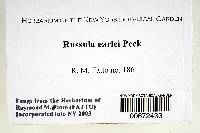 Russula earlei image