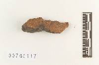 Phellinus pachyphloeus image