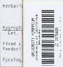 Hygrophorus bakerensis image