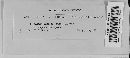 Albugo candida image