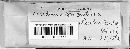 Daldinia concentrica image