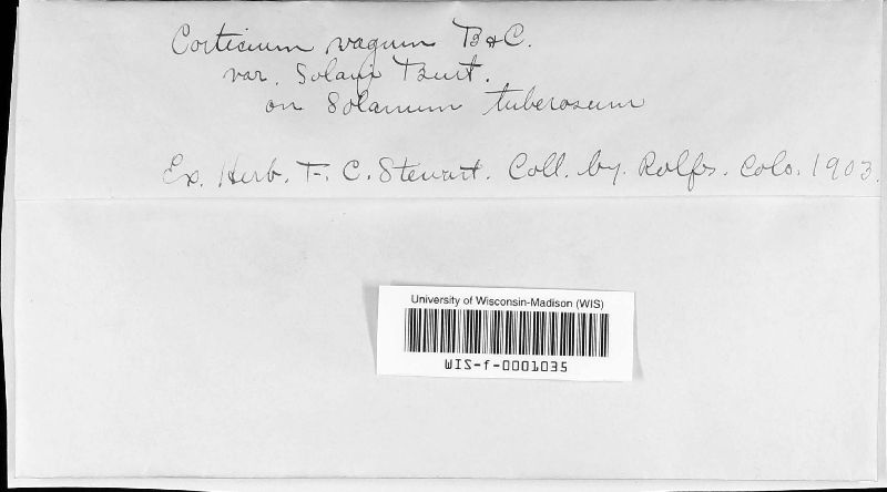 Corticium vagum var. solani image