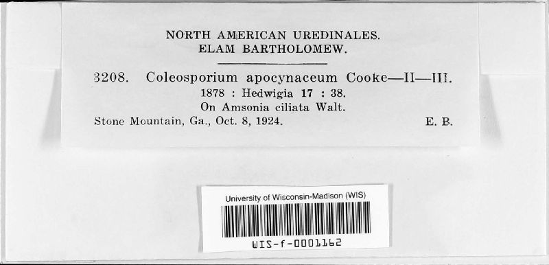 Coleosporium apocynaceum image