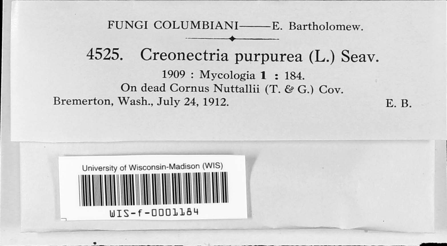 Creonectria image