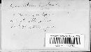 Cucurbitaria berberidis image