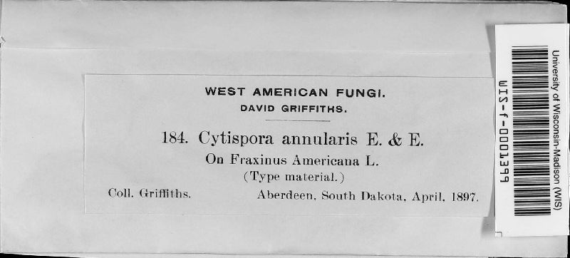 Cytospora annularis image