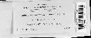 Coleosporium asterum image