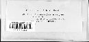 Image of Discula brenckleana