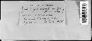 Dibotryon morbosum image