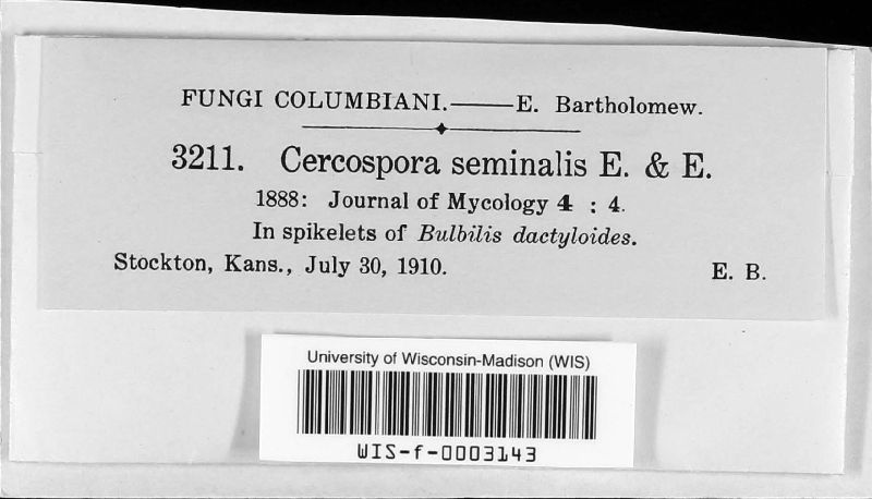 Cercospora seminalis image