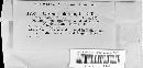 Image of Coryneum abietinum