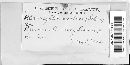 Dibotryon morbosum image