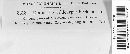 Image of Diaporthe callicarpae