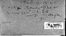 Diatrype stigma image