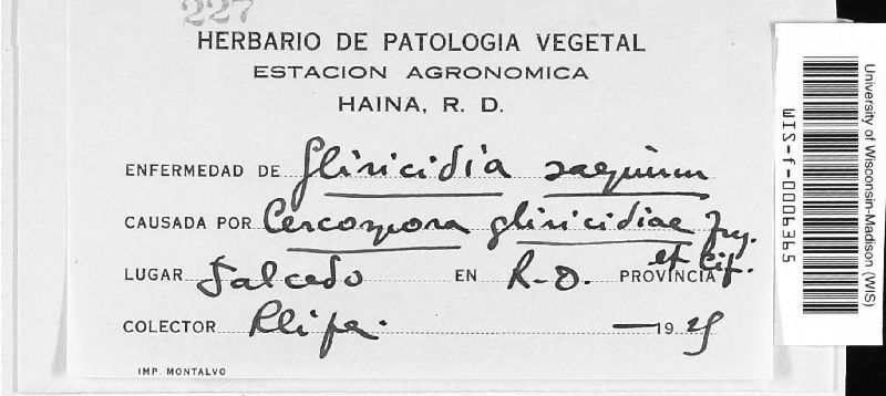 Passalora gliricidiae image