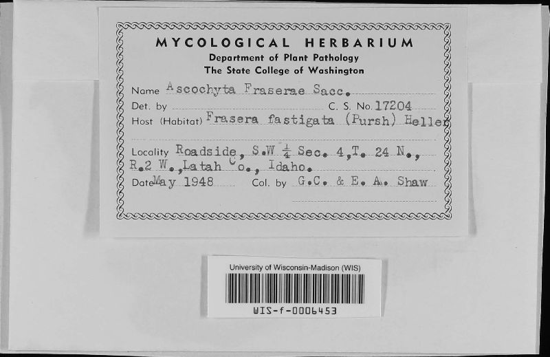 Ascochyta fraserae image