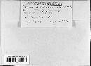 Cercospora trifidae image