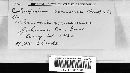 Coleosporium vernoniae image