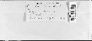 Cercospora clavata image