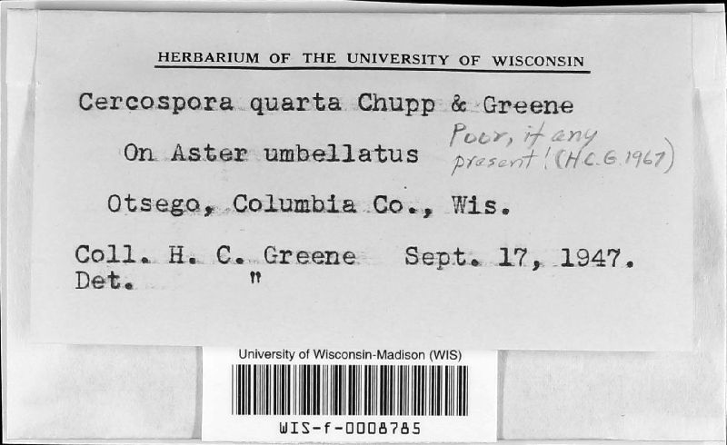 Cercospora quarta image