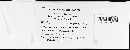 Image of Coleosporium campanulae