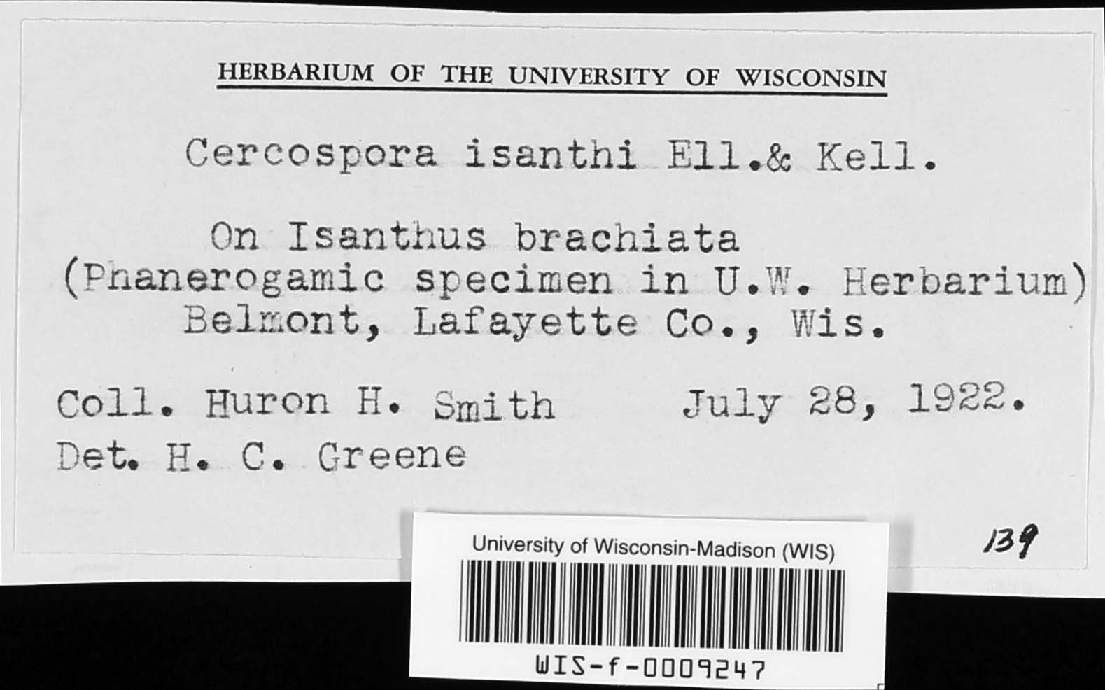 Cercospora isanthi image