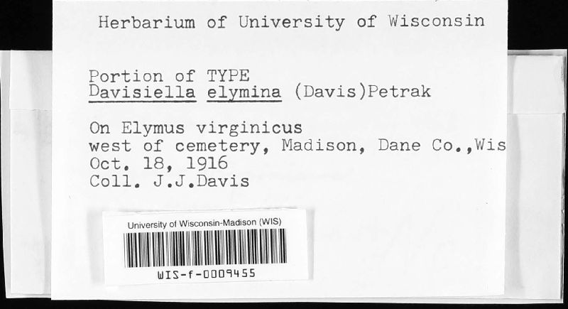 Davisiella elymina image